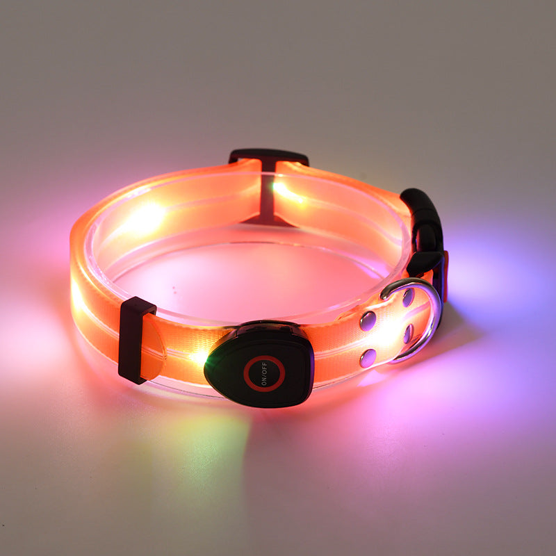 LED-Leuchthalsband mit wiederaufladbarem Akku und Nylon-Leine